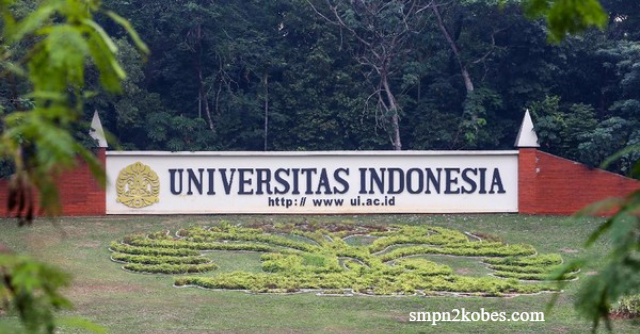 Daftar 5 Universitas Hukum Terbaik Di Indonesia